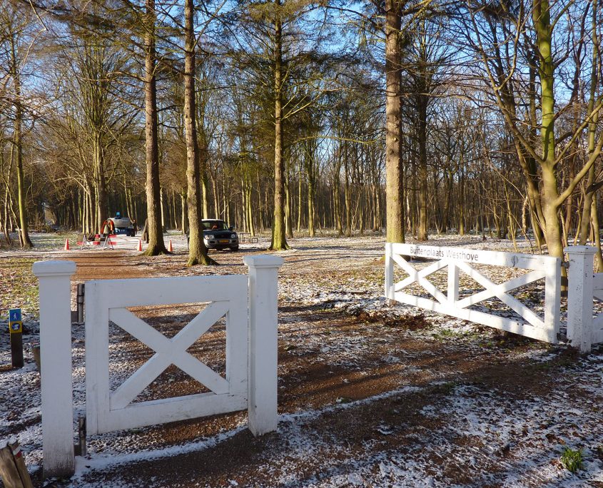 referentie_staatsbosbeheer