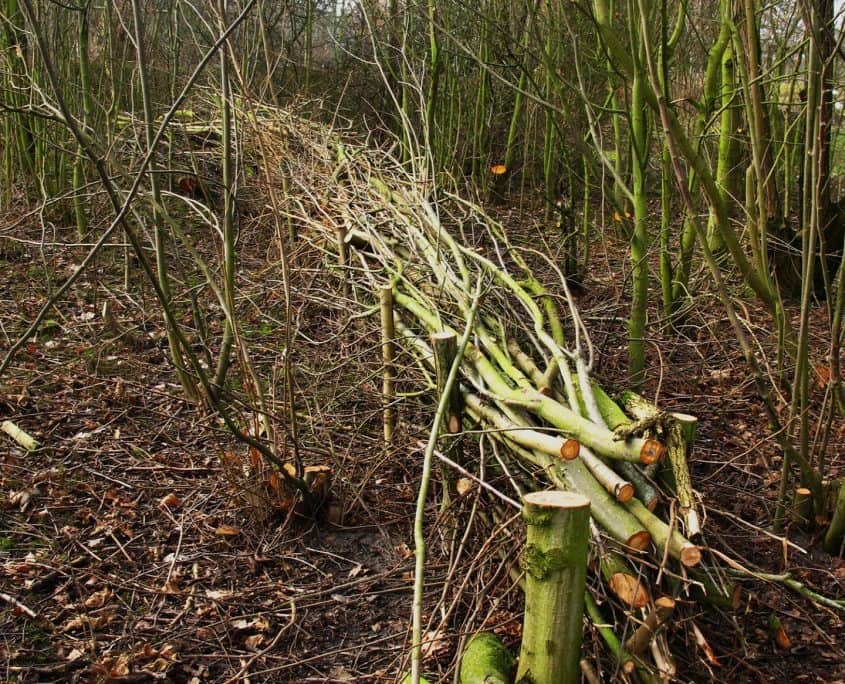 houtverwerking-wildwalletje