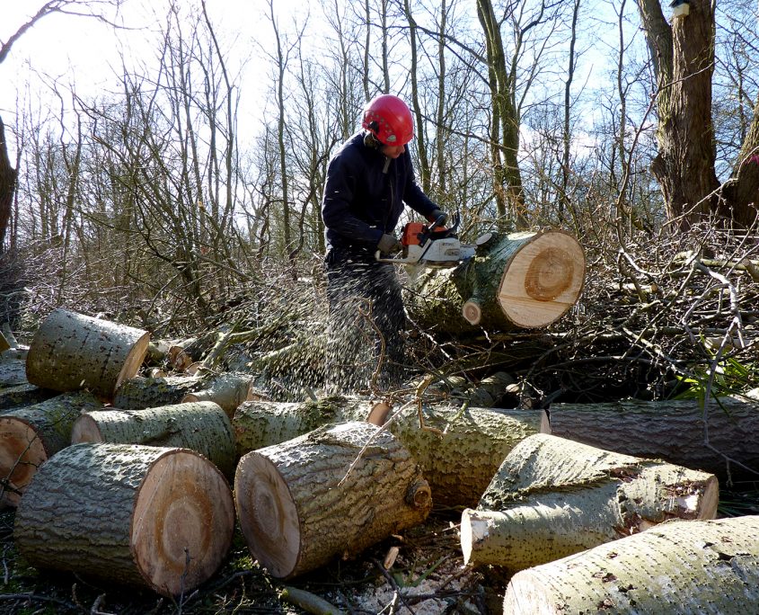 referentie-verwerken-hout